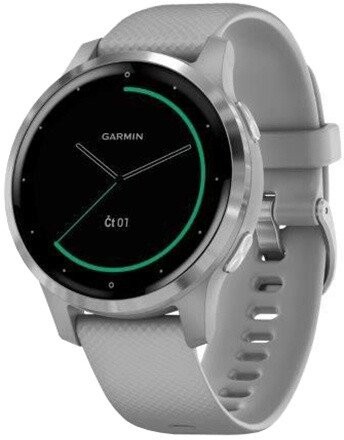 Chytré hodinky Garmin VívoActive 4S, strieborná/sivá