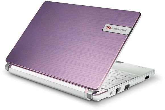 Packard Bell DOTS-C-261G32 fialová-bílá (NU.C0CES.003)